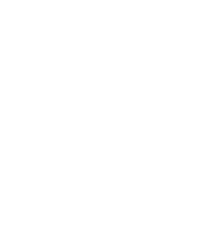 Cybersecurity Icon